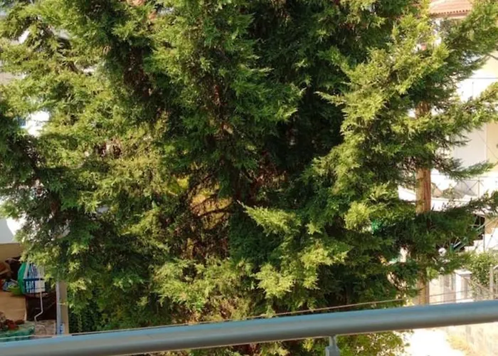 Ligeia Bedrooms בית הארחה